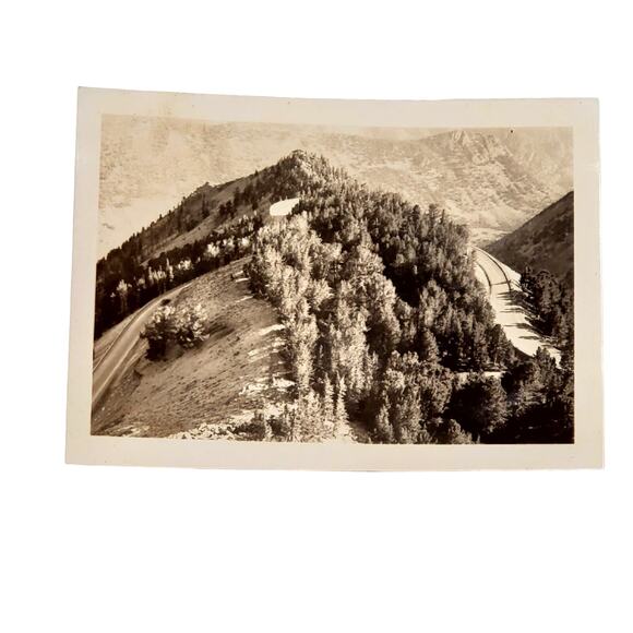 Vtg B&W Photo Found 1940 Yellowstone Park Road Tree Mountain Top View Snapshot - Picture 1 of 4